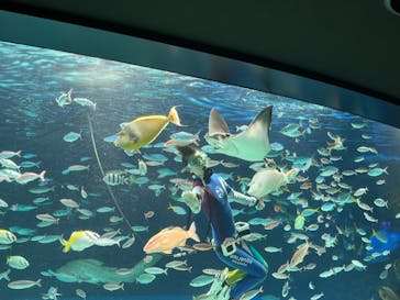 サンシャイン水族館に投稿された画像（2022/11/29）