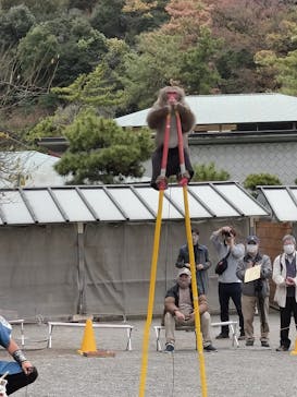 三溪園に投稿された画像（2022/11/29）