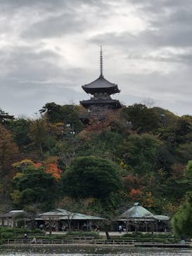 三溪園に投稿された画像（2022/11/29）