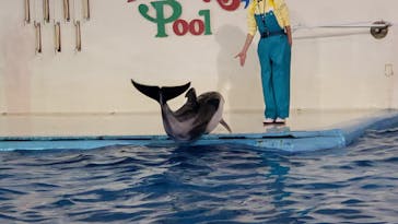 登別マリンパークニクスに投稿された画像（2022/11/29）