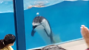 登別マリンパークニクスに投稿された画像（2022/11/29）