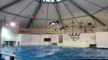 登別マリンパークニクスに投稿された画像（2022/11/29）