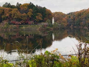 ムーミンバレーパークに投稿された画像（2022/11/29）