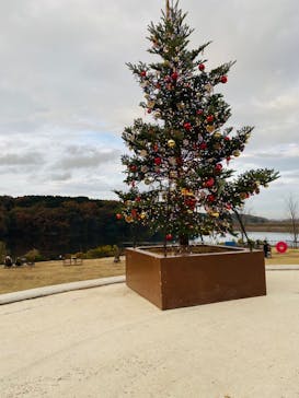 ムーミンバレーパークに投稿された画像（2022/11/29）