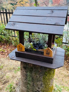 ムーミンバレーパークに投稿された画像（2022/11/29）