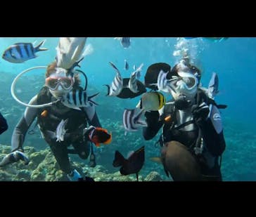 青の洞窟専門店　沖縄ダイビングショップ和に投稿された画像（2022/11/29）