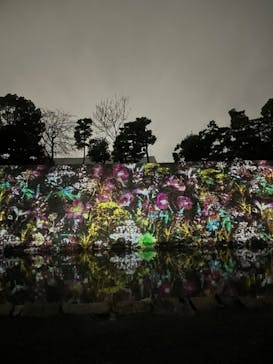 NAKED FLOWERS 2022 秋 世界遺産・二条城に投稿された画像（2022/11/29）