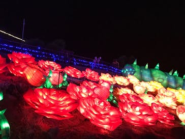 伊豆ぐらんぱる公園に投稿された画像（2022/11/29）