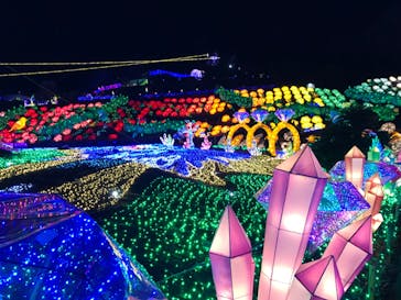 伊豆ぐらんぱる公園に投稿された画像（2022/11/29）