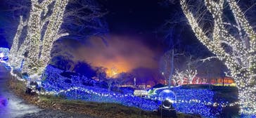 さがみ湖MORI MORIに投稿された画像（2022/11/29）