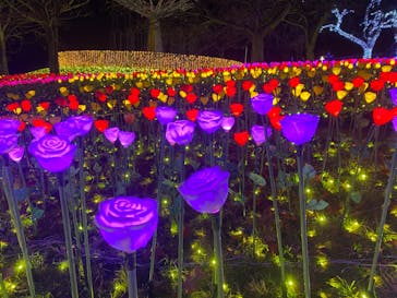 さがみ湖MORI MORIに投稿された画像（2022/11/29）