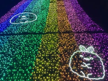 さがみ湖MORI MORIに投稿された画像（2022/11/29）