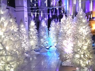 梅田スカイビル・空中庭園展望台に投稿された画像（2022/11/29）