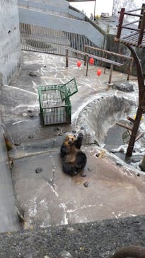 のぼりべつクマ牧場に投稿された画像（2022/11/30）