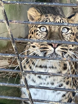 群馬サファリパークに投稿された画像（2022/11/30）