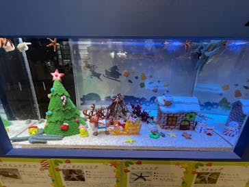 名古屋港水族館に投稿された画像（2022/11/30）