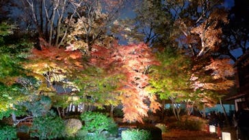 江戸東京たてもの園に投稿された画像（2022/11/30）