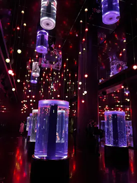 すみだ水族館に投稿された画像（2022/11/30）