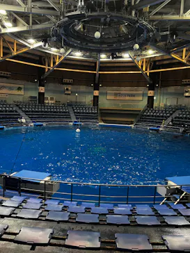 すみだ水族館に投稿された画像（2022/11/30）