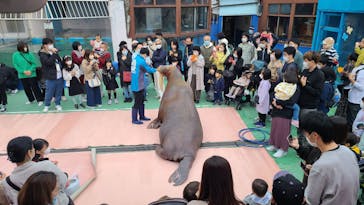 ゼロ距離水族館 伊勢シーパラダイスに投稿された画像（2022/11/30）
