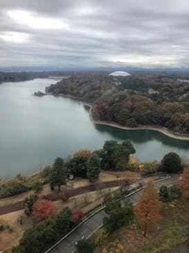西武園ゆうえんちに投稿された画像（2022/11/30）