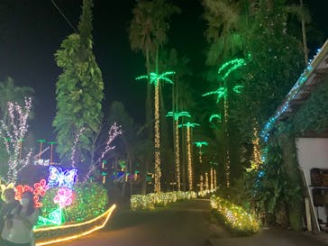 美らヤシパークオキナワ・東南植物楽園に投稿された画像（2022/11/30）