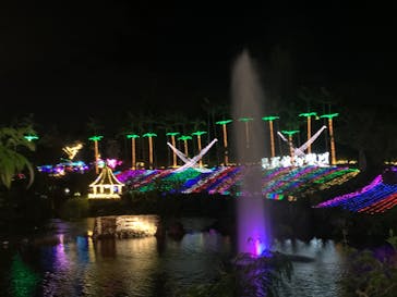 美らヤシパークオキナワ・東南植物楽園に投稿された画像（2022/11/30）