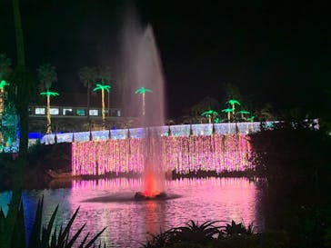 美らヤシパークオキナワ・東南植物楽園に投稿された画像（2022/11/30）