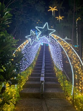 美らヤシパークオキナワ・東南植物楽園に投稿された画像（2022/11/30）