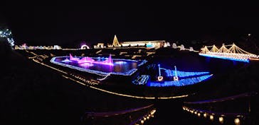 はままつフラワーパークに投稿された画像（2022/11/30）