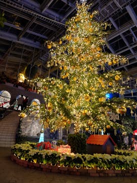 はままつフラワーパークに投稿された画像（2022/11/30）