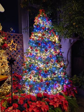 はままつフラワーパークに投稿された画像（2022/11/30）