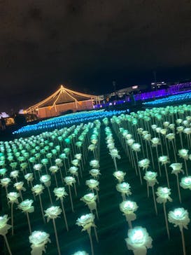 東京メガイルミに投稿された画像（2022/11/30）