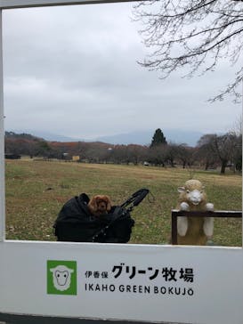 伊香保グリーン牧場に投稿された画像（2022/11/30）