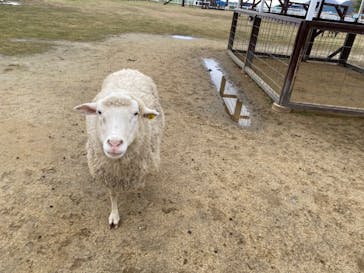 ワールド牧場に投稿された画像（2022/11/30）