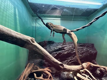 サンシャイン水族館に投稿された画像（2022/11/30）