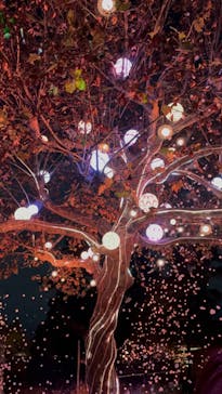 西武園ゆうえんちに投稿された画像（2022/11/30）