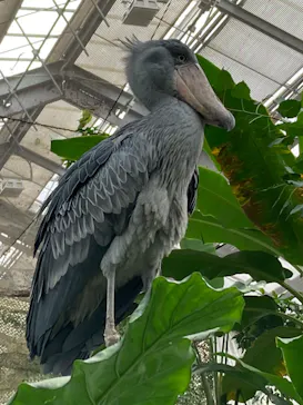 神戸どうぶつ王国に投稿された画像（2022/11/30）