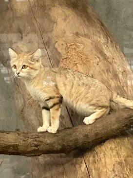 神戸どうぶつ王国に投稿された画像（2022/11/30）