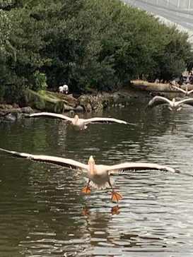 神戸どうぶつ王国に投稿された画像（2022/11/26）