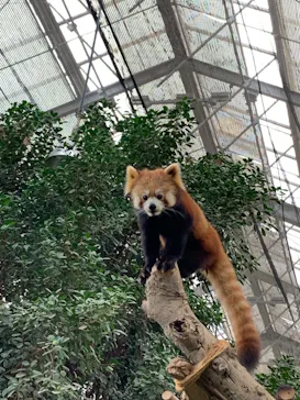 神戸どうぶつ王国に投稿された画像（2022/11/26）