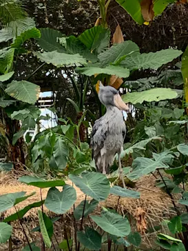 神戸どうぶつ王国に投稿された画像（2022/11/26）