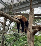 神戸どうぶつ王国に投稿された画像（2022/12/1）