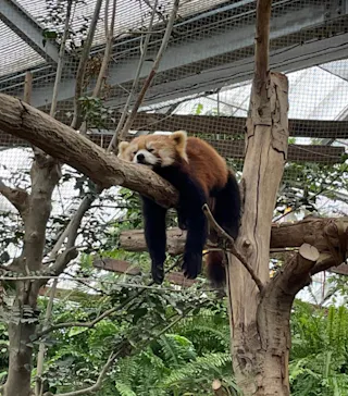 神戸どうぶつ王国に投稿された画像（2022/12/1）