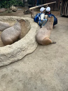 神戸どうぶつ王国に投稿された画像（2022/12/1）