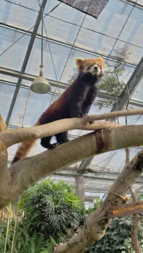 神戸どうぶつ王国に投稿された画像（2022/12/1）