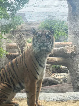 神戸どうぶつ王国に投稿された画像（2022/12/1）