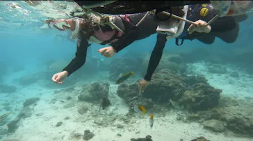 武藤潜水に投稿された画像（2022/12/1）