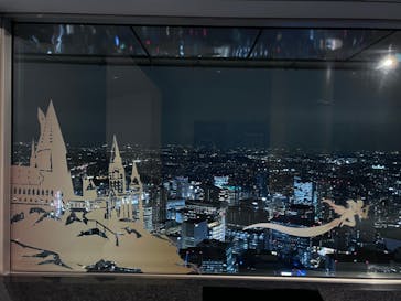 横浜ランドマークタワー 69階展望フロア スカイガーデンに投稿された画像（2022/12/1）