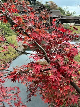 三溪園に投稿された画像（2022/12/1）